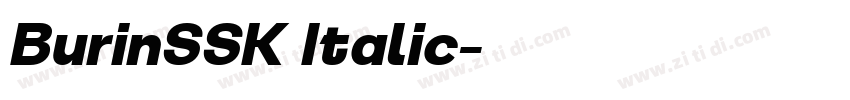 BurinSSK Italic字体转换 BurinSSK Italic字体转换